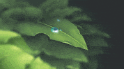 Art Glow GIF by Janelle DeWitt
