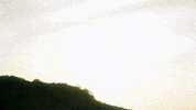 Nil GIF by hubcollage