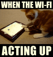 funny memes GIF