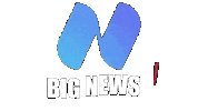 Npc Bignews Sticker by Nuotopuntocom