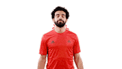 Celebrate Mohamed Salah Sticker by adidas