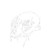 Dullfragments white flower skull plant Sticker