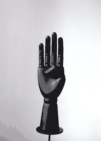 Digital Artist Middle Finger GIF - Find & Share on GIPHY