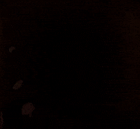 Whats Up Sup GIF
