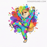 Happy Shiba Inu GIF by Doge Pound