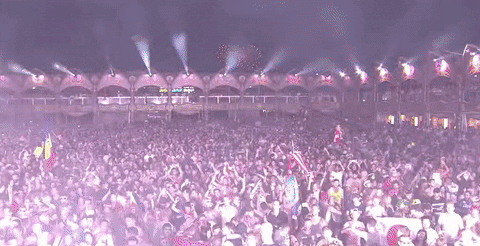 tomorrowland GIF by Robin Schulz