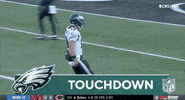 Philadelphia Eagles Football GIF by NFL