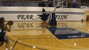 vwu_marlins marlins vwu wethebeach virginiawesleyan GIF