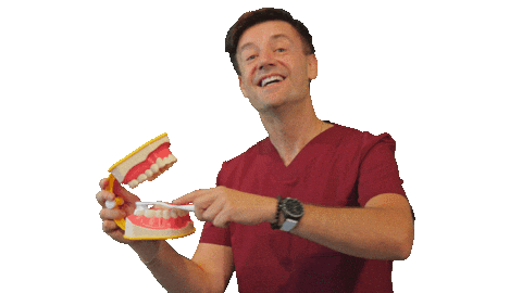 Dentist Stalowawola Sticker by Crazy Pig