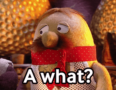 Stop Motion What GIF by Fire Mountain Productions