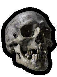 reference87 reference reference87 madewithr87 redefiningreference Sticker