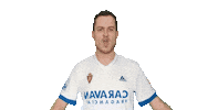 vatiosverdes zaragoza goooool realzaragoza javiche Sticker