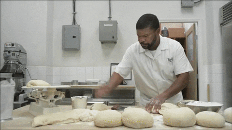 GIF by Giphy QA