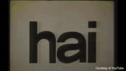 indonesia hello GIF