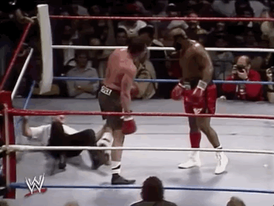 Roddy Piper Sport GIF by WWE