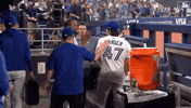 Blue Jays Baseball GIF by Toronto Blue Jays