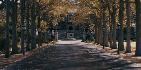 Topher Grace GIF by A24