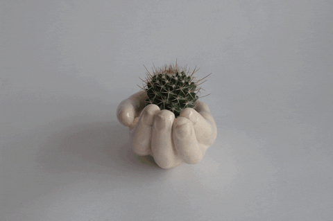Hand Cactus GIF by Lucía Parias