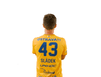Floorball Sladek Sticker by Český florbal