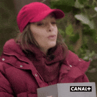 Irl Village GIF by CANAL+