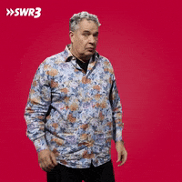 Scream Reaction GIF by SWR3