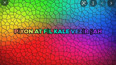 PROFESSOR_CAMCI_SHOW giphybackdropmaker GIF