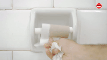 No Toilet Paper