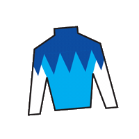 Horse Racing Sticker by Kentucky Derby