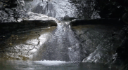 mexico great gardens las pozas GIF by NOWNESS