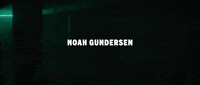 noahgundersen lover official video noah gundersen GIF