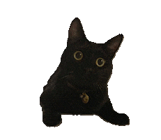 Cat Calico Sticker