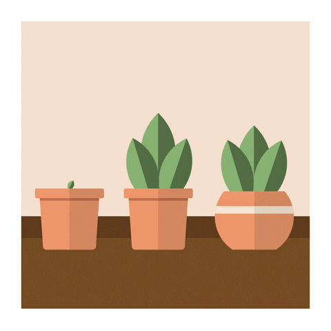 motionbyjackie giphyupload happy green plant GIF