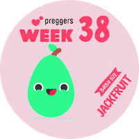 Baby Pregnancy Sticker by Preggers