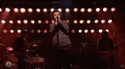 harry styles snl GIF by Saturday Night Live