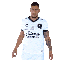 Liga Mx Gallos Sticker by Club Querétaro