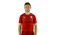 2score time ceskarepre narodak repre Sticker
