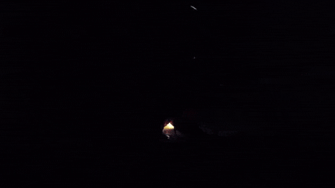 90S Dark GIF by chavesfelipe