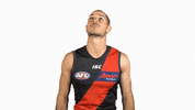 essendonfc bombers dons essendon essendon fc GIF