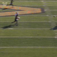 Sport Celebrate GIF by Vanderbilt Athletics