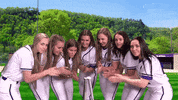 Warriors Softball GIF by WinonaStateATH