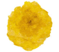 chiflarsnacks snack crunch crunchy snacktime Sticker