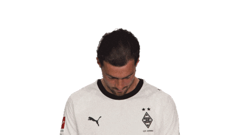 Look Up Borussia Moenchengladbach Sticker by Bundesliga