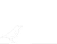 Bird 2D Sticker by UFSCSustentavel