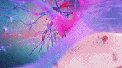 decker mind wipe GIF by Tim and Eric
