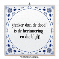 Humor Nl GIF by Tegelspreuken.nl