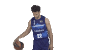 Liga Endesa Basketball Sticker by ACB