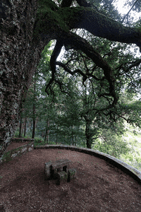 borealisontrekking nature trekking borealis caminhada GIF