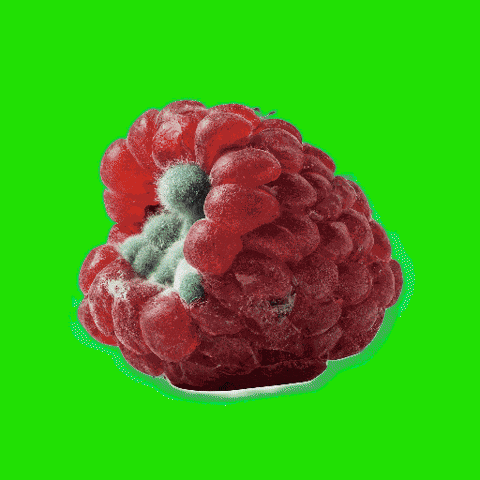 Apple Energy GIF