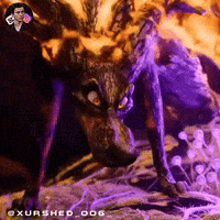 Wolf Aura GIF