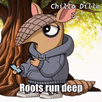 Sun Joy GIF by Chillo Dillo